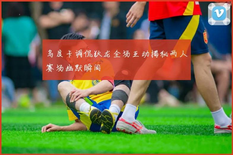 乌度卡调侃狄龙全场互动揭秘两人赛场幽默瞬间