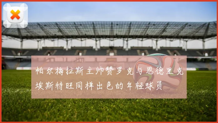帕尔梅拉斯主帅赞罗克与恩德里克埃斯特旺同样出色的年轻球员