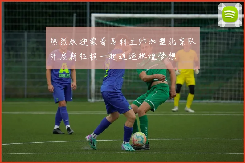 热烈欢迎蒙哥马利主帅加盟北京队开启新征程一起追逐辉煌梦想