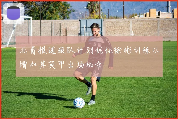 北青报道狼队计划优化徐彬训练以增加其英甲出场机会