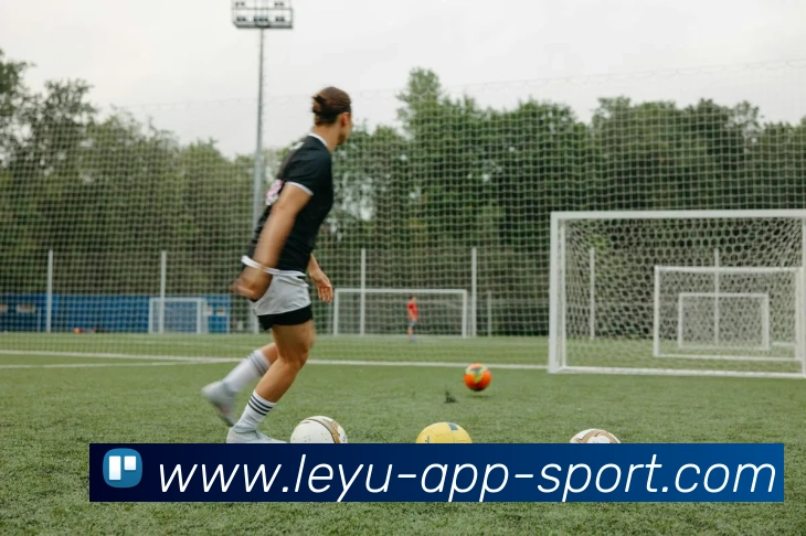 乐鱼体育平台生态图