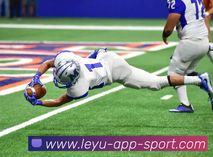 乐鱼体育APP 封面图